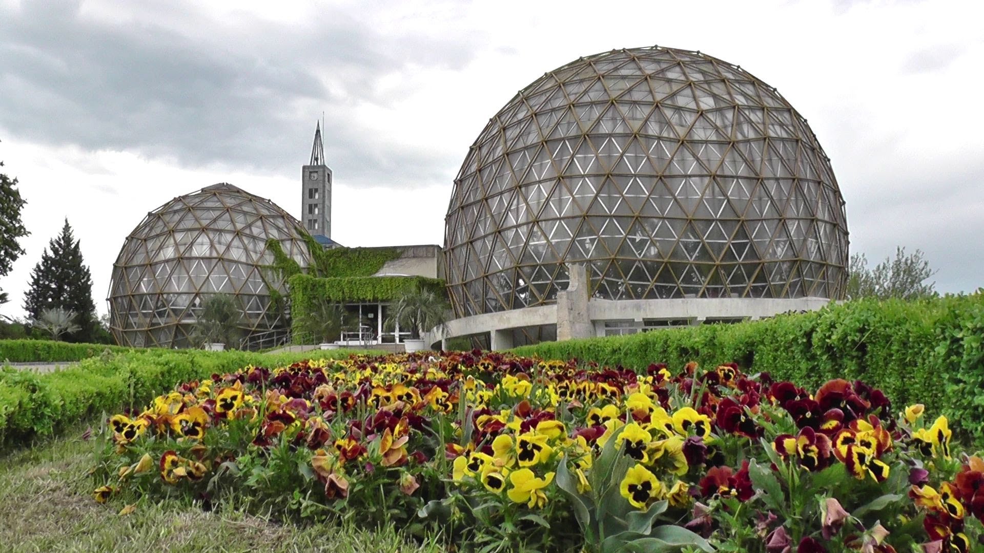 Splendorile grădinei Botanice din Jibou