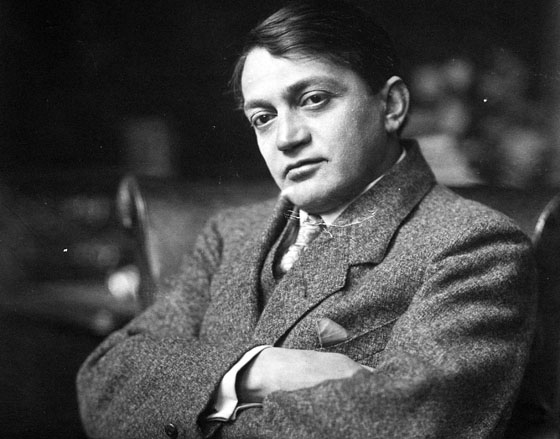 Satu Mare - județul marilor poeți ai maghiarilor