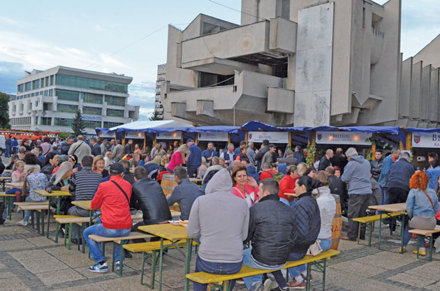 Festivalul Vinului Satu Mare 2017 - distracție și concerte