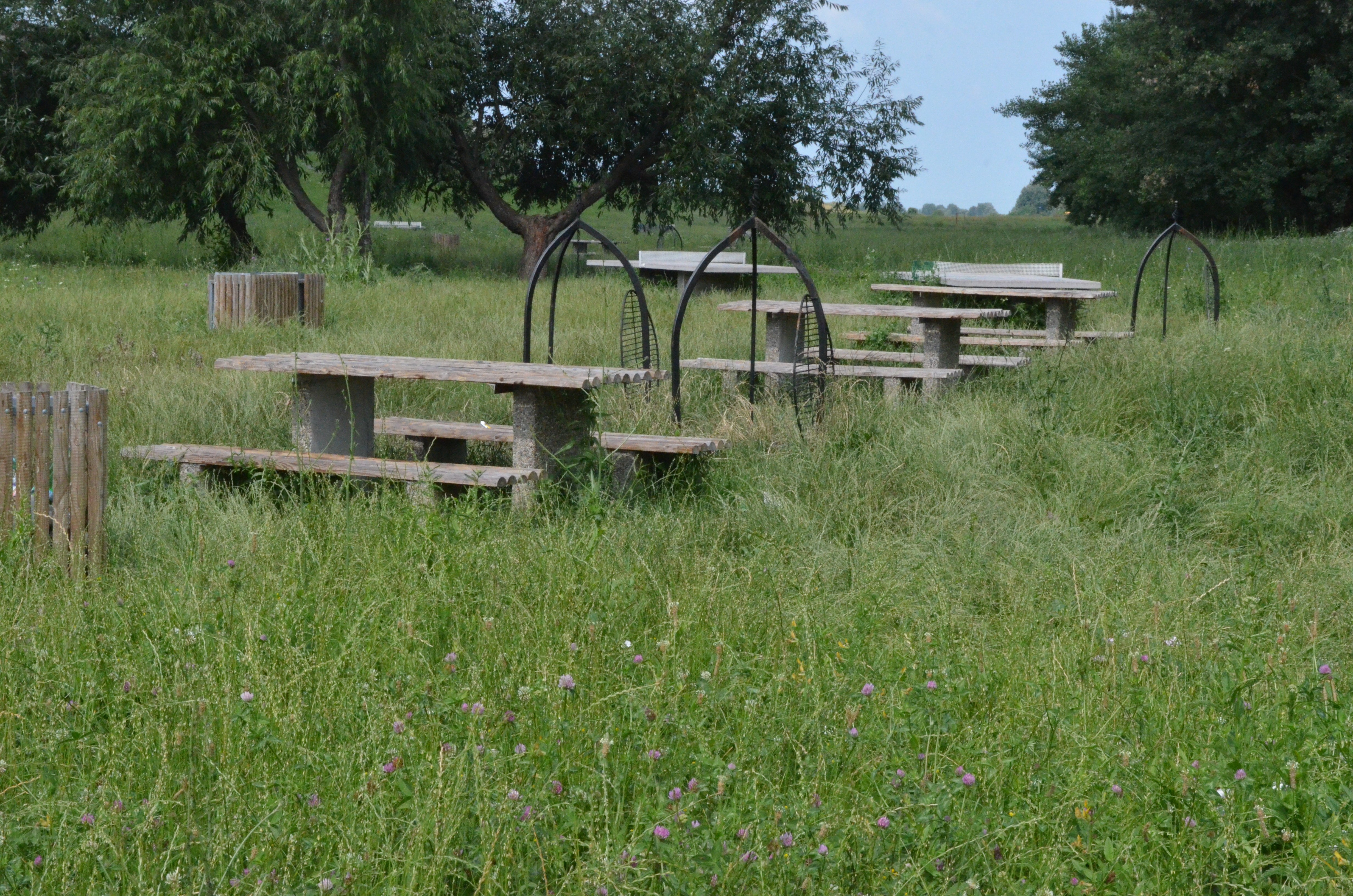 Zona de picnic din Micro 16  se transformă în junglă