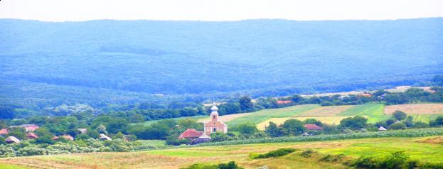 Primăria Homoroade, proiecte de modernizare