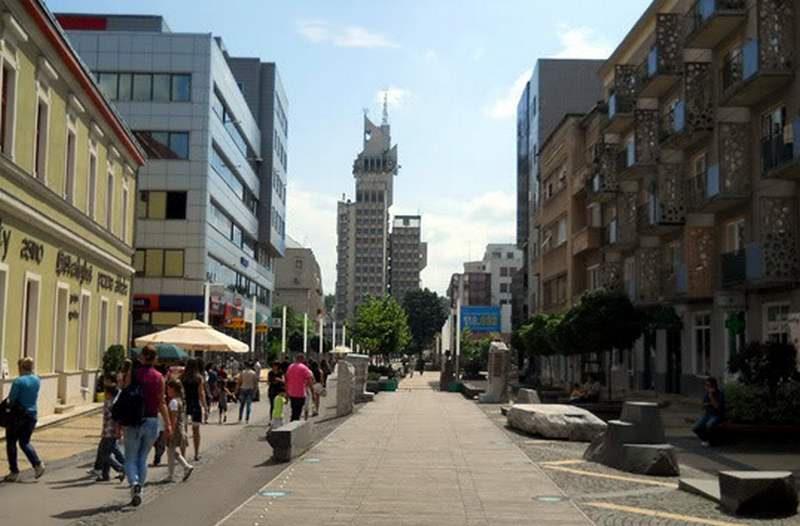 Municipiul Satu Mare va candida la titlul ”Capitala Tineretului din România”