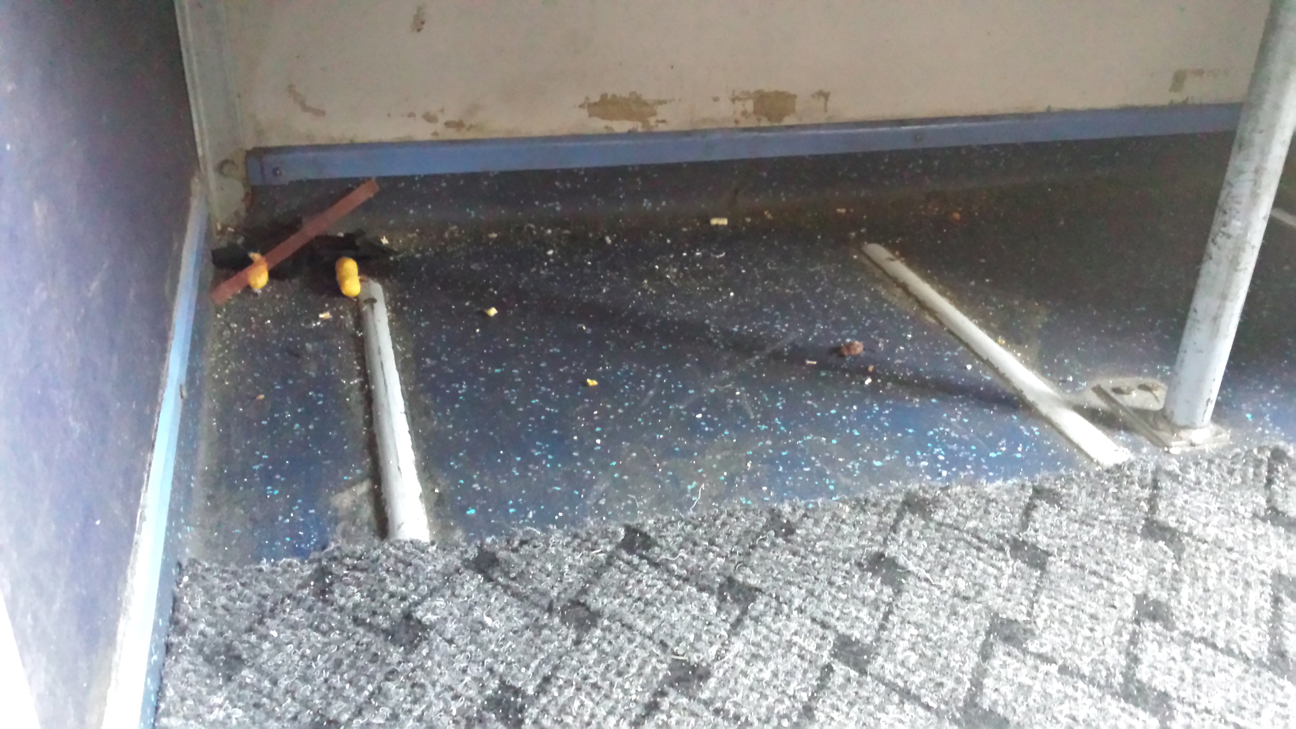 Peste 19 ore la mare cu trenul, în igienă precară (1)