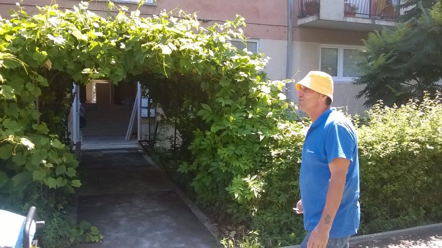 VIDEO/FOTO. Zugravul erou de Satu Mare. Cum a salvat viața unui sătmărean