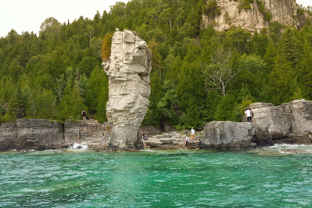 Grădina Zmeilor - una dintre cele mai spectaculoase rezervaţii naturale din Transilvania