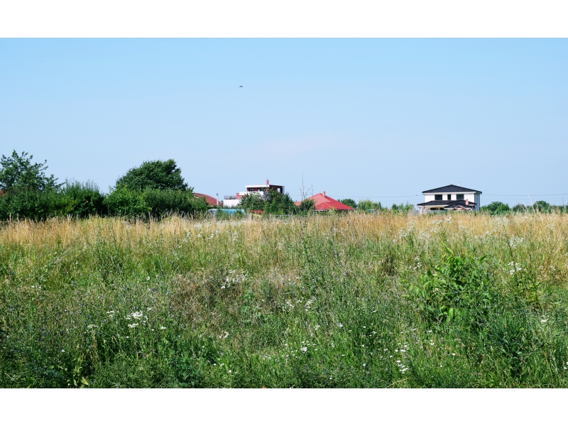 Proprietarii de terenuri, somați de Primărie  să-și curețe suprafețele