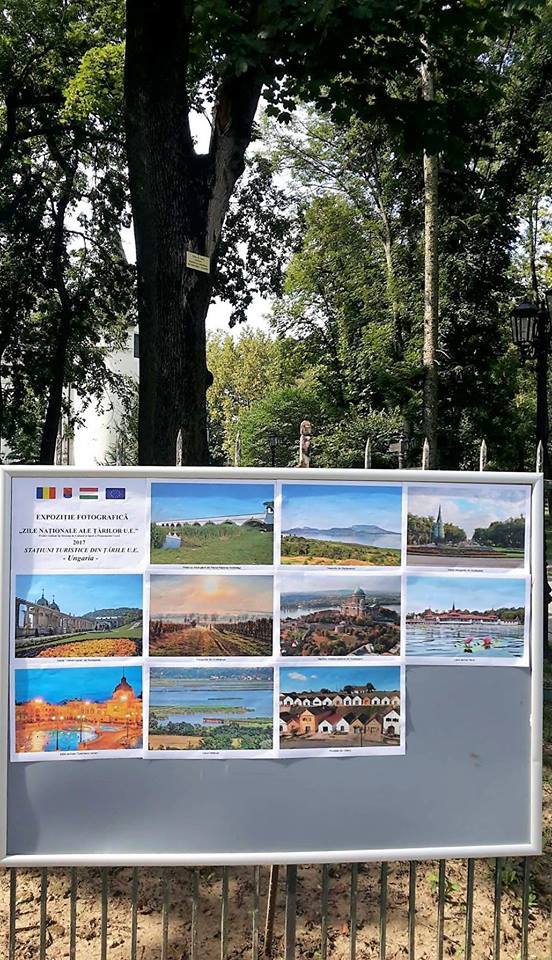 20937769_2162463583779247_913086300_n