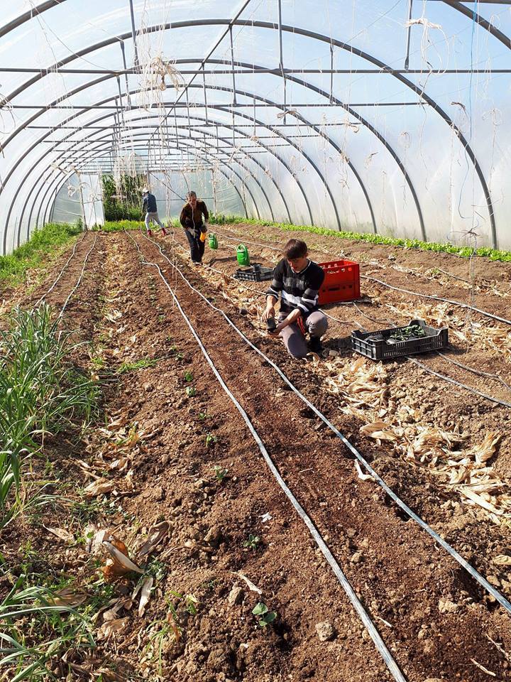 21123983_2172088169483455_1121144368_n