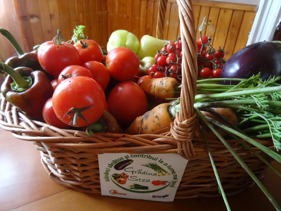 21124057_2172088162816789_99671151_n