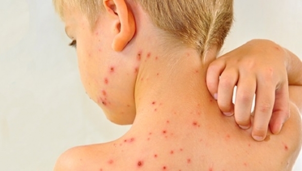 Fruntaşi şi noi la ceva