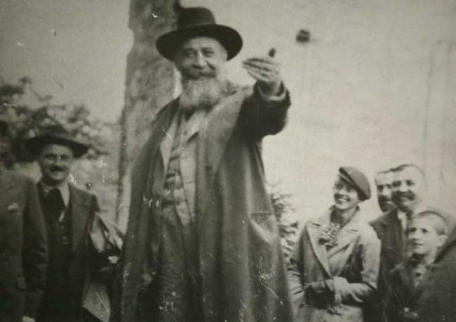 Cum au fost percepute ţinuturile Sătmarului de către cel mai mare istoric al românilor