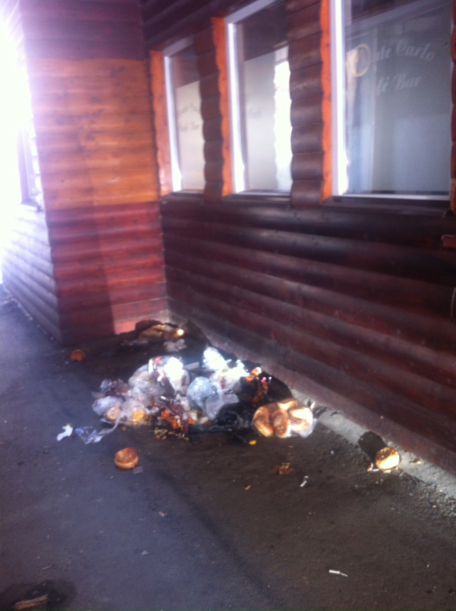 Gunoiul din plin centru...