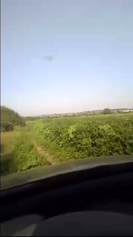 ”Cherestul păstă  heghi”