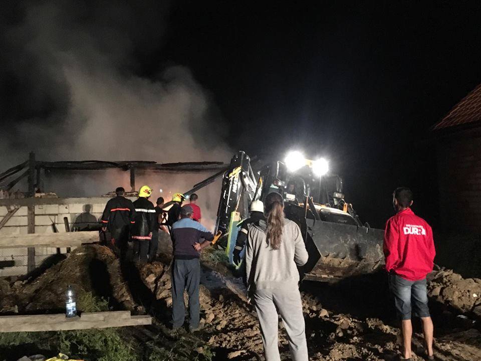 O mână criminală a dat foc la o fermă. Aproape 40 de animale au ars de vii