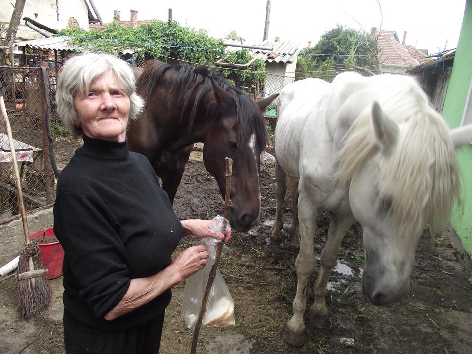 FOTO. Apel disperat. ”Avem mare nevoie de ajutorul oamenilor inimoși”