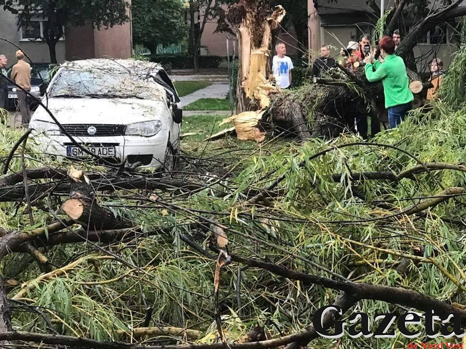 FOTOGALERIE. Mașina unui sătmărean, distrusă de un copac doborît de furtuna de ieri seară