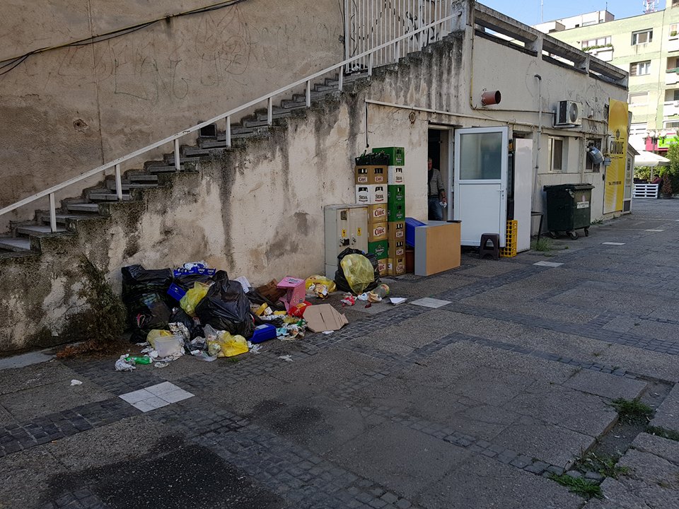 FOTOGALERIE. Gunoaie în centrul Sătmarului. Ca-n lumea a treia