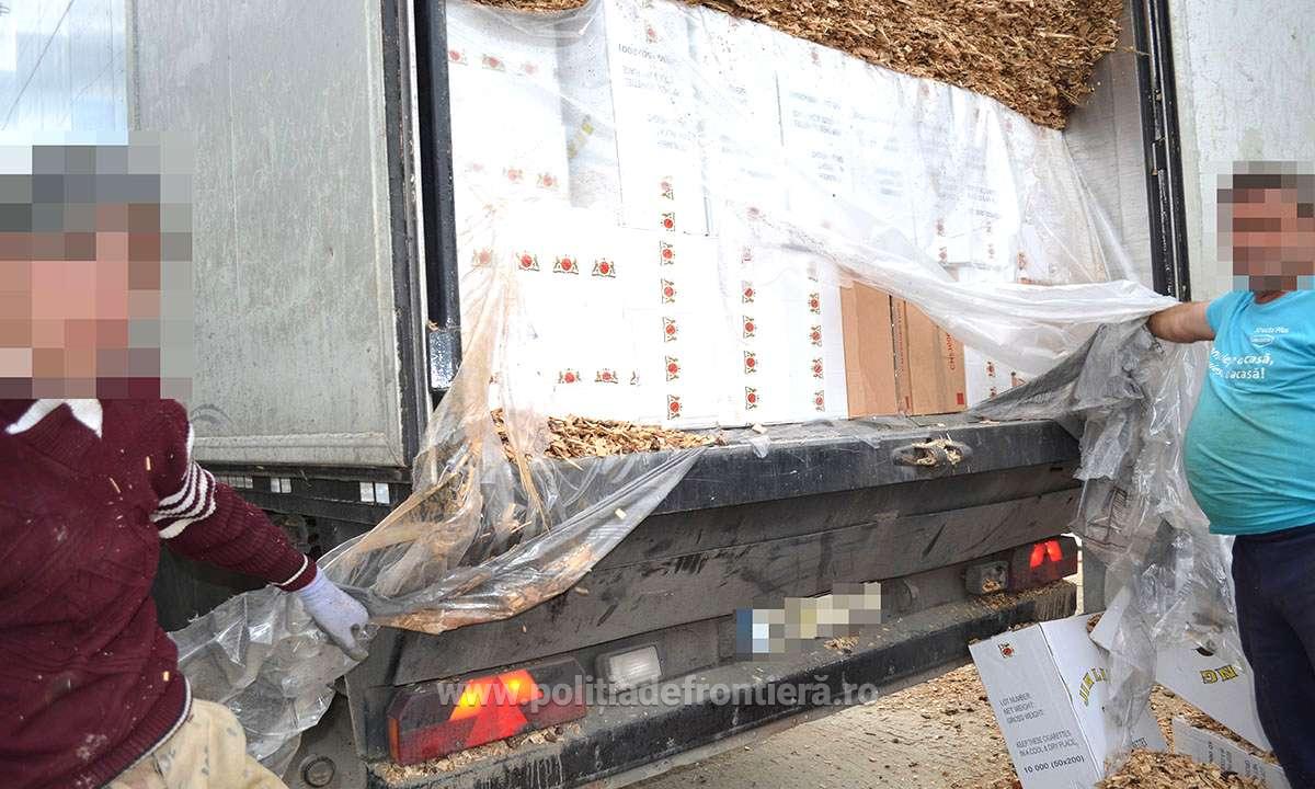 VIDEO/FOTO. Captură record de țigări la Halmeu. Speedy, câinele erou