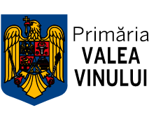 Proiectele Primăriei Valea Vinului