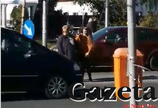 VIDEO/FOTO. Gest emoționant la Burdea. Pericol real