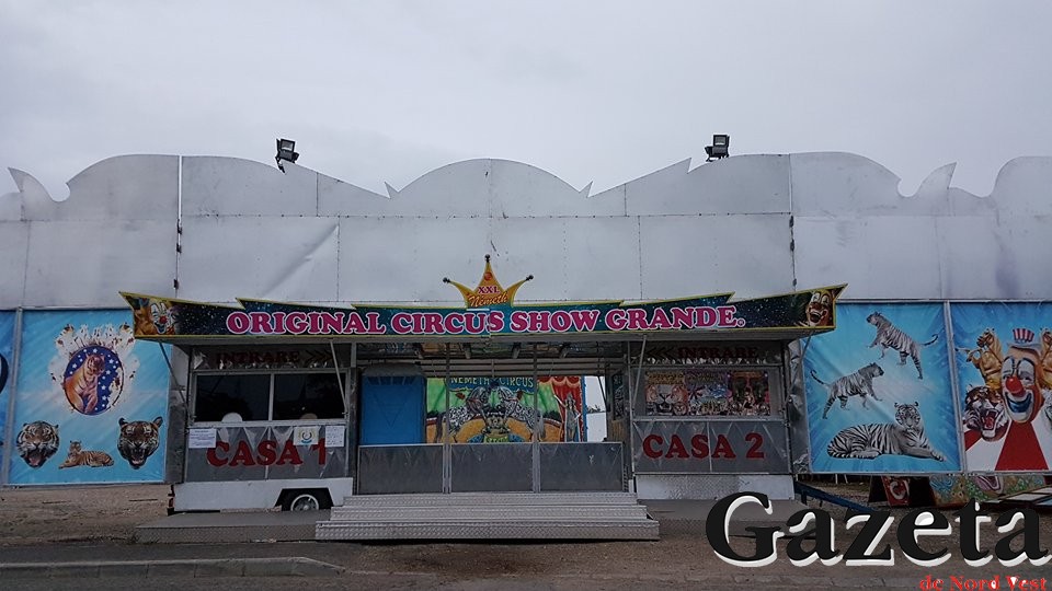 FOTOGALERIE. S-au crezut în țara nimănui. Circul face cirkusz la Satu Mare