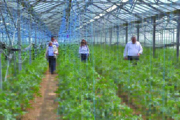 Modificări legislative pentru ajutorul cultivatorilor de fructe exotice