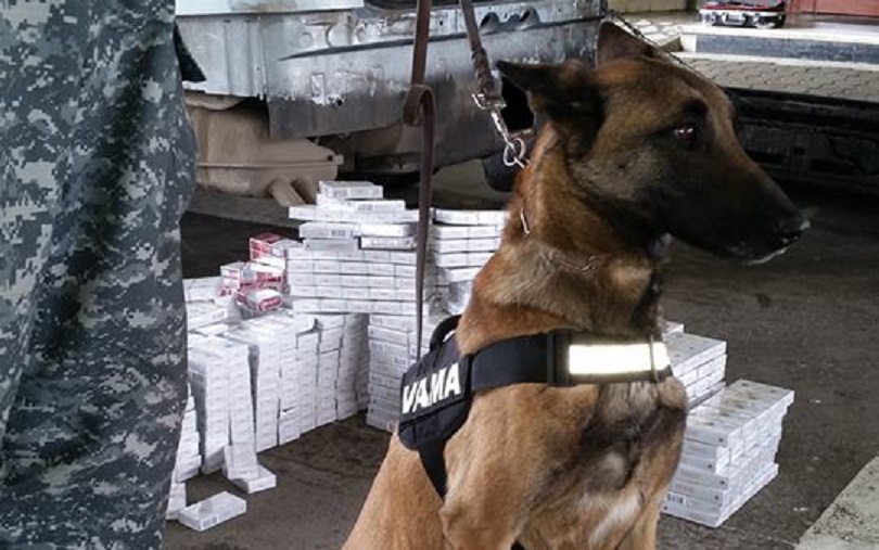 FOTOGALERIE. Câinele Tora și-a făcut din nou datoria. Grup de contrabandiști, prinși la Halmeu