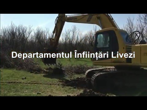 Investiție de milioane în Țara Codrului. Livada de la Necopoi, revitalizată