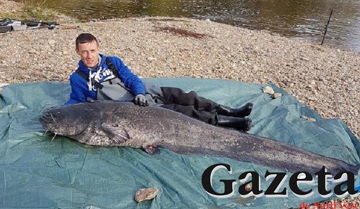 VIDEO/FOTO. Monstru adevărat, capturat de un sătmărean. Unde și cum l-a prins