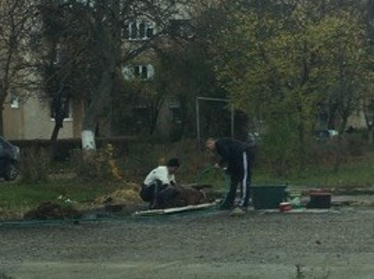 FOTO. Primul porc sacrificat la Satu Mare. Pe malul Someșului