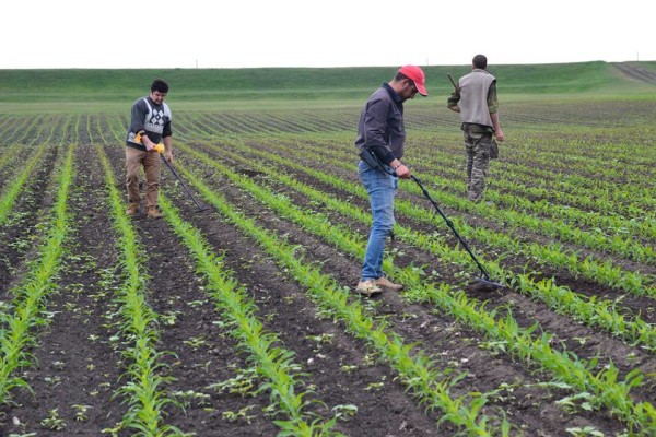 Comoara de la Andrid. Arheologii sătmăreni au descoperit un tezaur de monede, unul dintre cele mai mari din judeţ