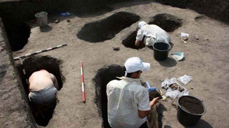 Pâine preistorică descoperită în cetatea ascunsă de la Bobald