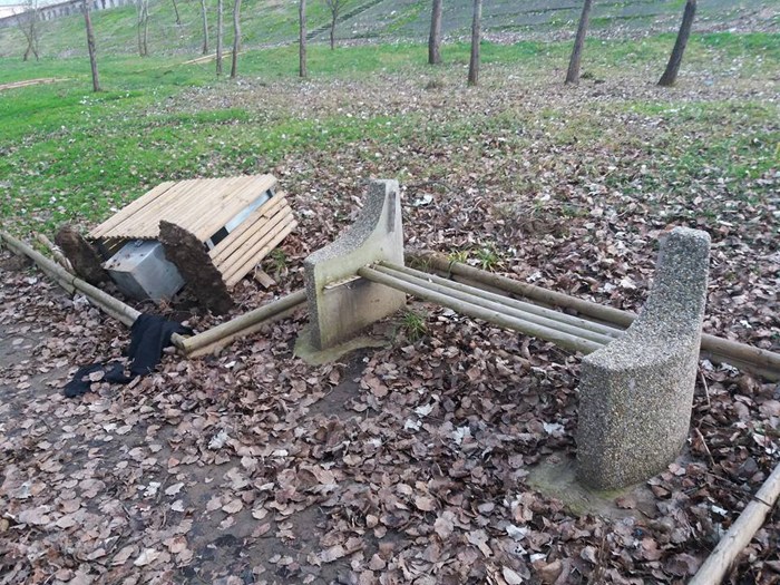 Vandalii Sătmarului