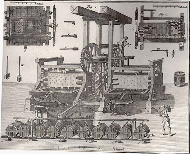 Aspecte istorice ale viticulturii în ținuturile sătmărene