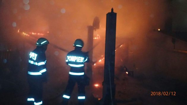 VIDEO/FOTO. Săptămână NEBUNĂ pentru POMPIERII sătmăreni. Au INTERVENIT la peste O SUTĂ de cazuri