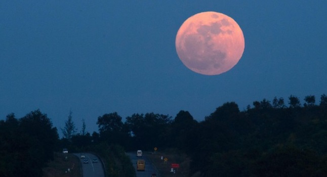 VIDEO. Super Luna Albastră Sângerie, văzută de la Satu Mare.