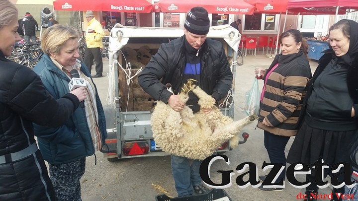 ATENȚIE la ce miei cumpărați. Pericol de gută