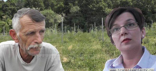 Cea mai mare plantație de goji din Europa, în pericol