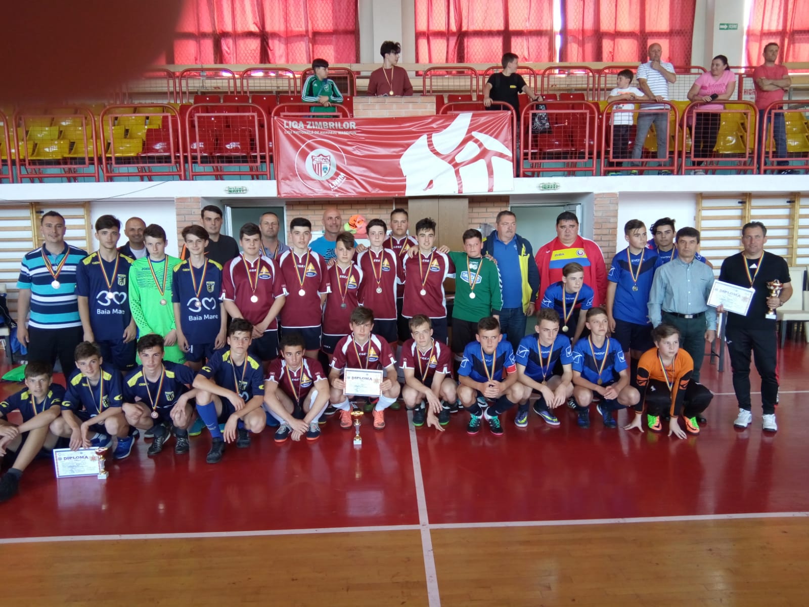 LPS Satu Mare si Liceul Teoretic Carei merg la turneul final