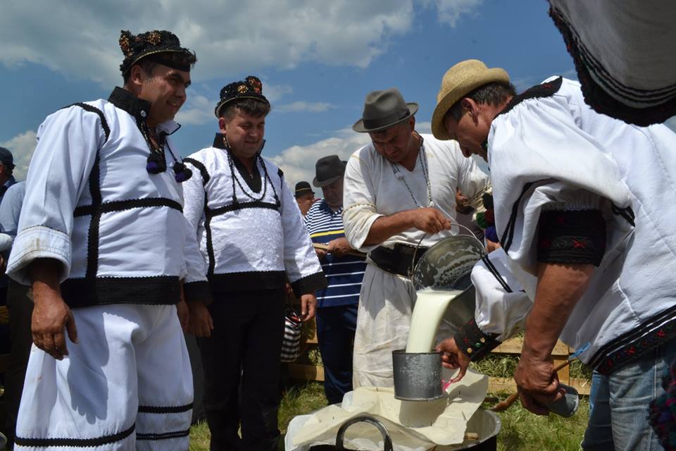 MEGA-FOTOGALERIE. Urcatu’ oilor la munte în Țara Oașului - Sâmbra oilor sau Alesul