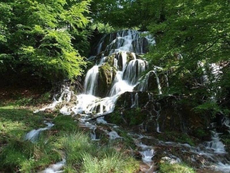 Rezervația Izvoarele Barcăului din Tusa – locul unde privirea vă este captivată de un peisaj impresionant prin culoare și splendoare