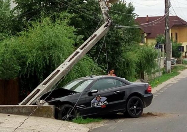 FOTO. Un oșan a rupt un stâlp de telegraf cu Merțanu. Apoi a plecat