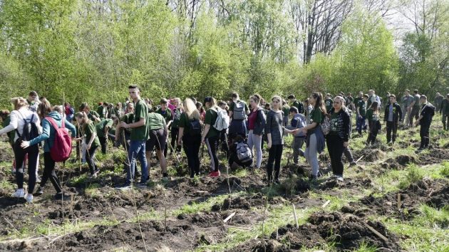 Elevii uni școli din județul Satu Mare, pe locul II la un concurs național. Felicitările li se cuvin din plin
