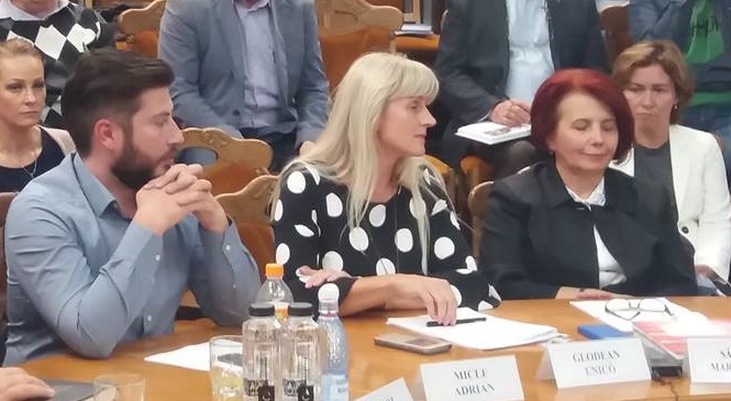 Consilierul local Eniko Glodean cere ca și Primăria Satu Mare să folosească Sigla Centenarului