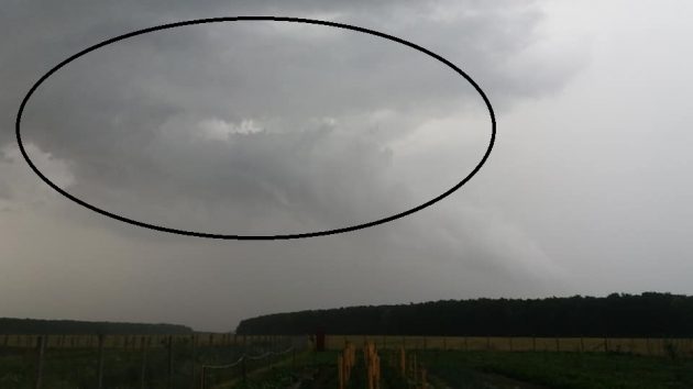 VIDEO/FOTO. Fenomene meteo EXTREME la Satu Mare. Început de TORNADĂ