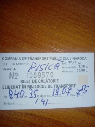 Amenda supremă.  La Cluj, o pisică a fost sancționată deoarece călătorea cu autobuzul fără bilet!