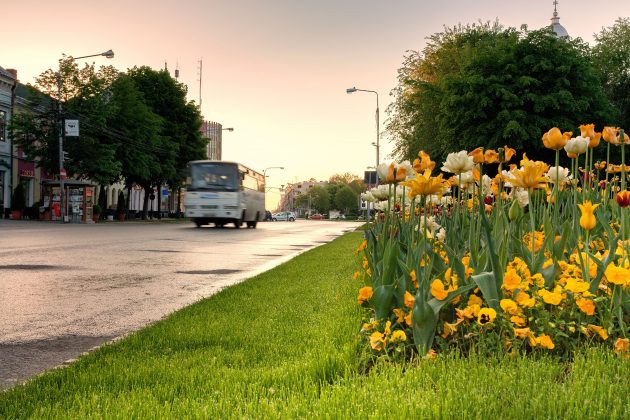 PREMIERĂ! Miss Grădina. Concurs de frumusețe inedit la Satu Mare