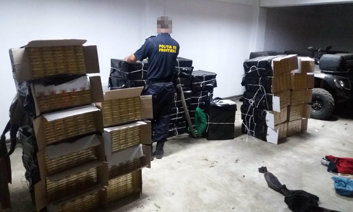 Captură de proporții în Oaș