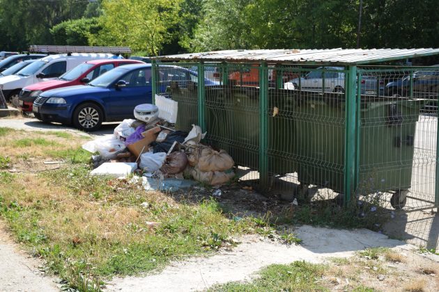 APEL la spiritul civic al sătmărenilor. Ce solicită Primăria Satu Mare