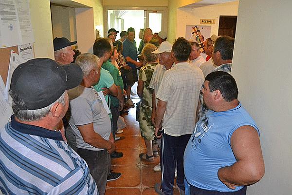 Informatie importanta! Află cum poti lua banii de la APIA!